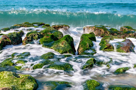 Laomei Green Reef, volcanic rocks with seasonal algae in Shimen District, New Taipei City, Taiwan