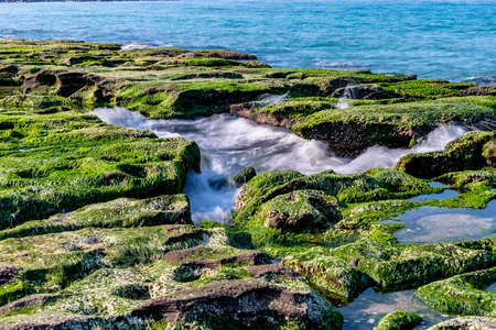Laomei Green Reef, volcanic rocks with seasonal algae in Shimen District, New Taipei City, Taiwanの写真素材