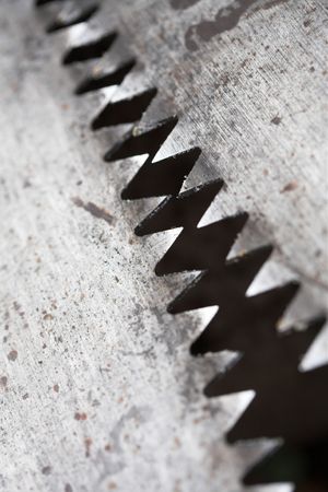 close up of tools (narrow dof): saw in a forestの写真素材