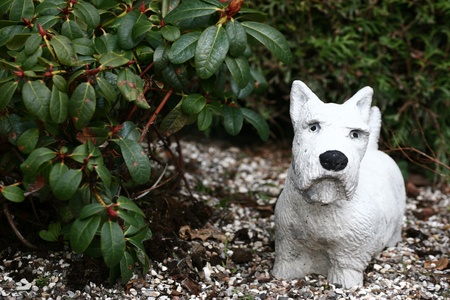in a cemetery  in denmark , dog stautue on a graveの写真素材