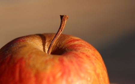 close up picture of an appleの写真素材