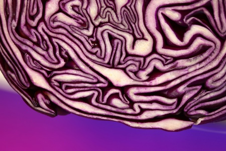 Red cabbage closeup