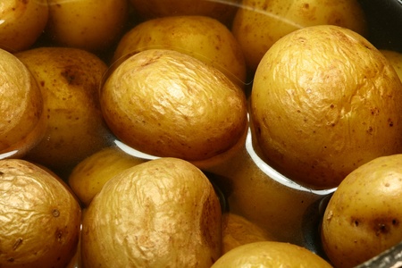 Potatoes close up in waterの写真素材