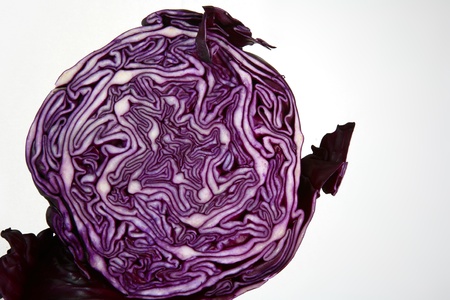 Red cabbage closeupの写真素材