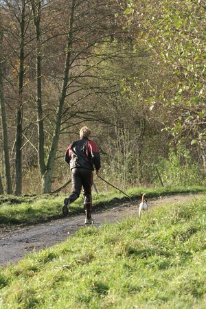 running on a path in the forest of rudeskov in denmarkの写真素材
