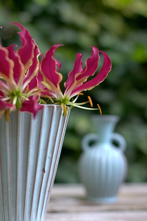 flowersの写真素材