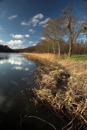  a lake in denmark nearby a forest, water and trees
の写真素材