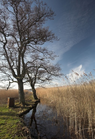  a lake in denmark nearby a forest, water and trees
の写真素材