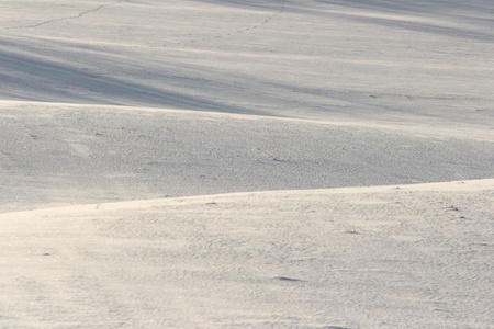 under the snow  in  winter in denmarkの写真素材