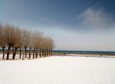 landscape   in  winterの写真素材