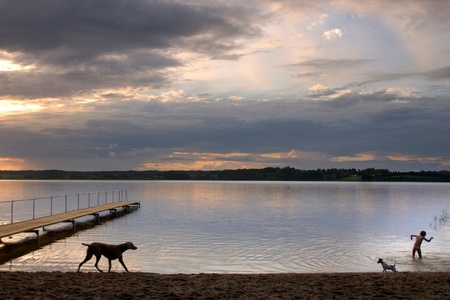 a lake in denmark , a so called bath bridge on a danish lake  A family on the beach at the sunset

 and dog passingの写真素材