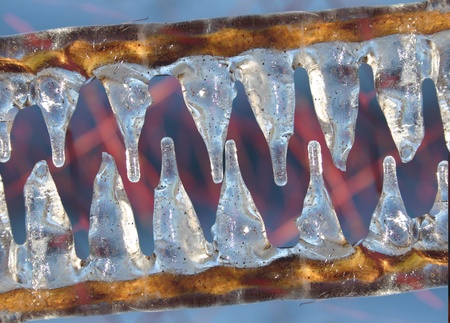 frozenの写真素材