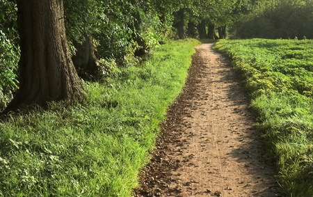 path in the danish country side a sunny dayの写真素材