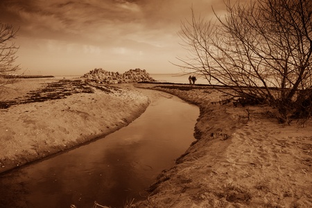 coastal lanscape in denmark. Sepia tonnedの写真素材
