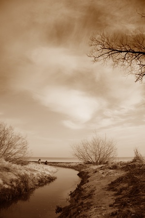 coastal lanscape in denmark. Sepia tonnedの写真素材