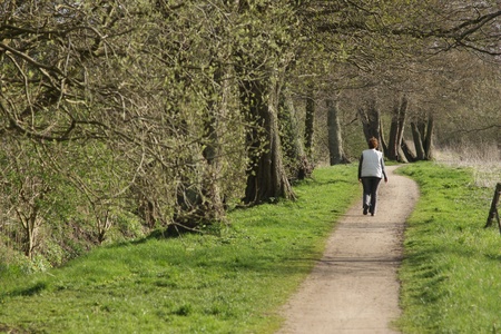 Woman on a path  with yellow flowers in spring in denmark