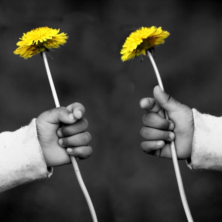 child hand holding a dandelionの写真素材