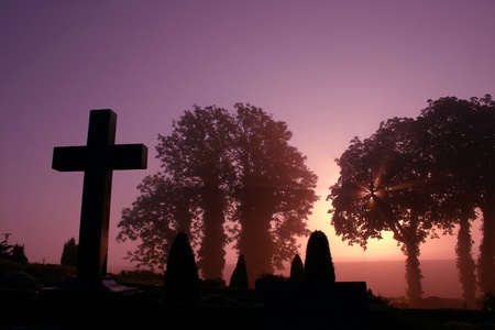 in a cemetary  in denmark an automn day  in the the early morning fog with a warm orange sunのeditorial素材