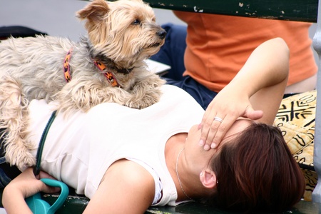 tired girl relaxing on a bench with a samll dog on herの写真素材