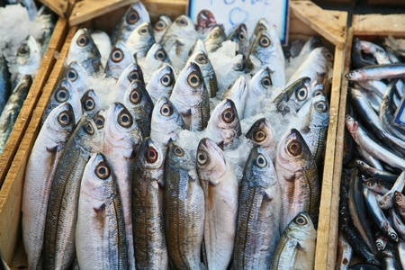 Scenes from  Peloponese in greece in the summer
