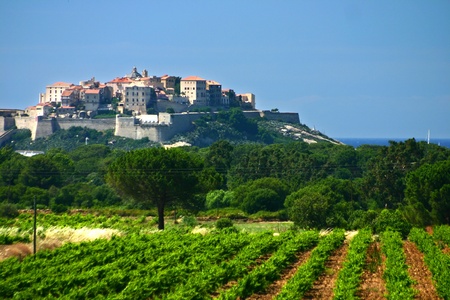 Corsican sceneries  the town of Calviの写真素材