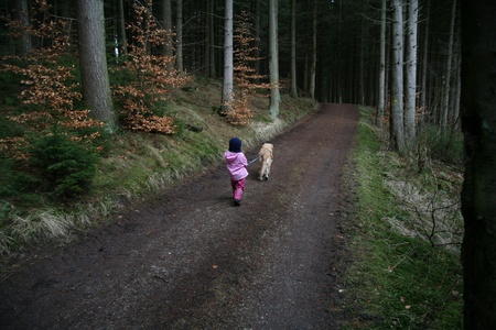 dog  (golden retriever) with a child 
on a forest path
の写真素材