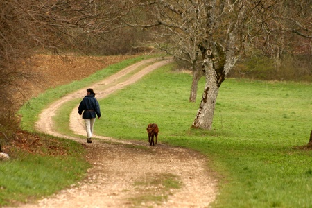 autumn in the countryside  in alsace france a girl with her dog walking in the countryside
の写真素材