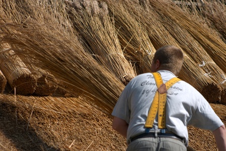 man working at covering the thatch  roof  of traditional house   in denmark a sunny summer dayのeditorial素材