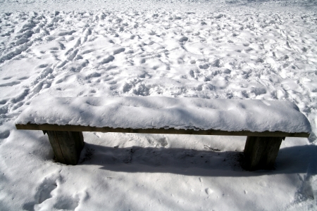 bench   under the snow  in denmarkの写真素材