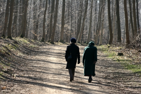 old couple walking in the woodsの写真素材