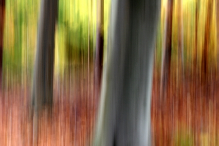 autumn in the countryside  in denmark
, abstact panning pictureの写真素材