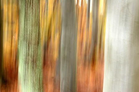 autumn in the countryside  in denmark
, abstact panning pictureの写真素材
