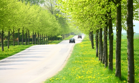 green spring landscape with green  trees in the danish country side 



close up of old collection vintage cars


traffic  signs in a city



close up of old collection vintage cars

の写真素材