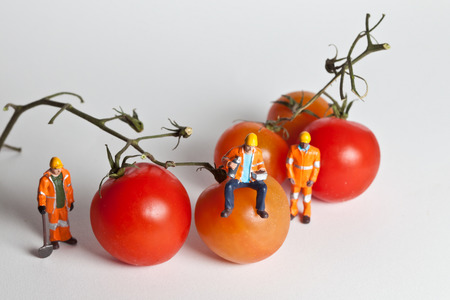 Miniature people in action in various situationsの写真素材