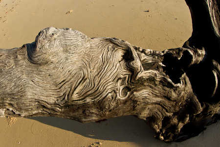 Old piece of wood at the beach in thailand in summerの写真素材