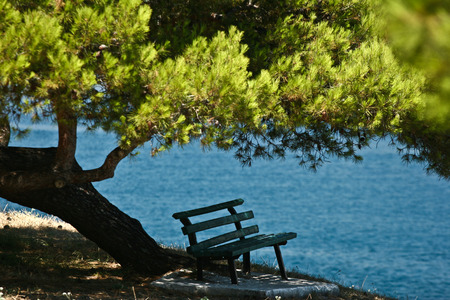 Trees and bench at the coast line in   Peloponese in Greeceの写真素材