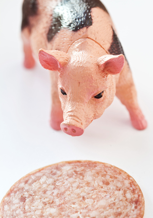 Miniature plastic Pig with a slice of saussage shot on white backgroundの写真素材