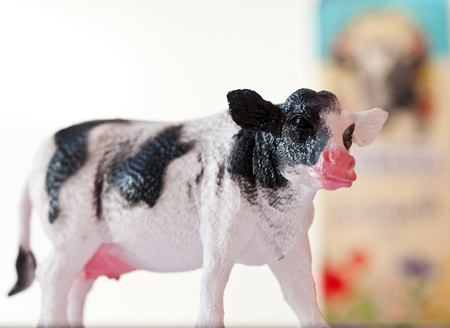 Miniature plastic cow with milk shot on white backgroundの写真素材
