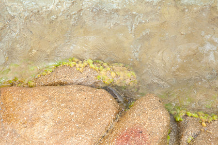 Rocks at the beach in Algajola Village or town in  Corsica in the Balagne arean the summerの写真素材