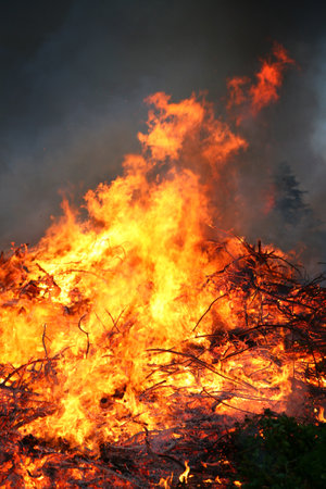 flames and smoke from burning trees in the forest, closeup of photoの写真素材