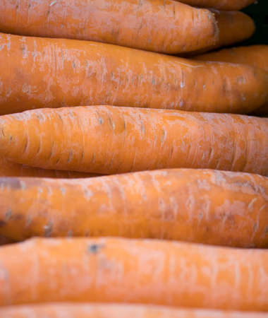carrots pile healthy foodの写真素材
