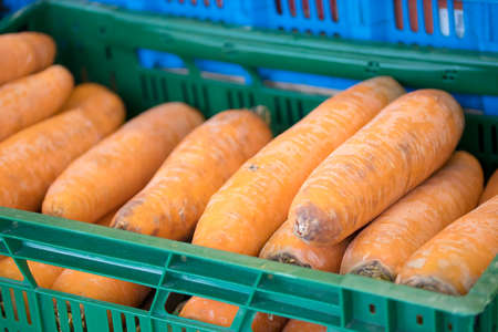 carrots pile healthy foodの写真素材