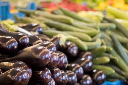 vegetables from the green groceryの写真素材