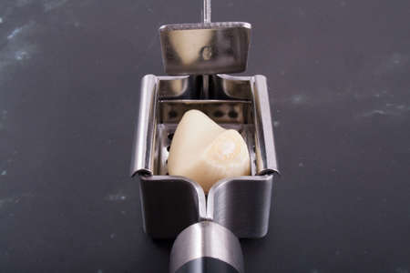 garlic isolated on a backgroundの写真素材