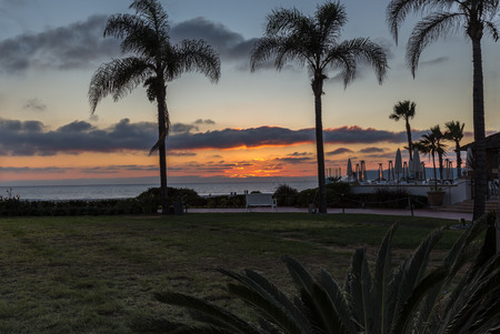Palm trees at sunset in California. Taken whilst on holiday in California in January of this beautiful palm tree sunset.の写真素材
