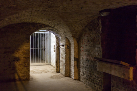Cellar room with illuminated entrance. Shot of an entrance to the cellar and has a metal barred gate which is closed.  Some of the brickwork is broken.のeditorial素材