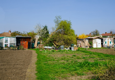 Allotment plots in Spring with fallen tree and working chaos.の写真素材
