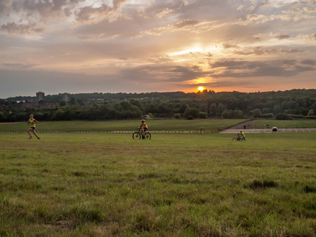 Hainault forest, Essex, UK - July 18,2014: sunset landscape on the open grassland where people are enjoying the late evening sun. Sun is just slipping towards the trees.のeditorial素材