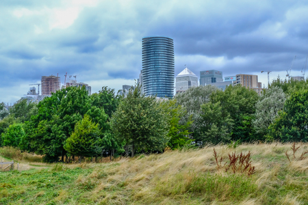 Mud Chute Park, London, UK  - August 18, 2018: View from Mud chute farm looking towards Canary Wharf. with long wild grass and trees in the foreground and tall buildings behind.のeditorial素材