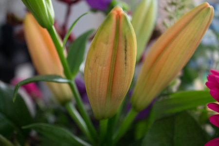 A selective focus shot of blooming orange lily bulbs in the flower shopの写真素材